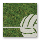 <h3><strong><span style="text-decoration: underline;">*14% Bundle Savings*</span></strong></h3>HiddenForest Field Ball Mat and Terrain Set