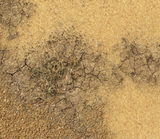 HiddenForest Desert Terrain Mat