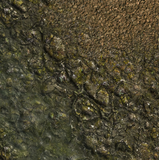 HiddenForest Swamp Terrain Mat
